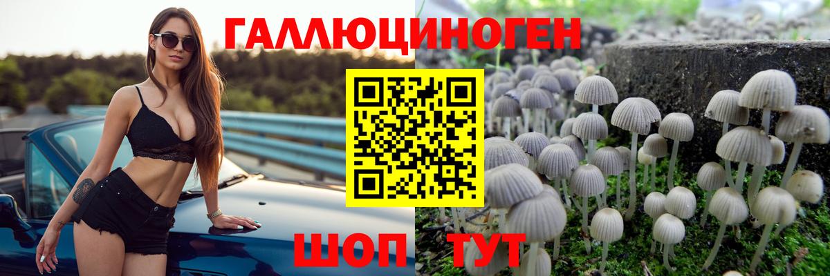 Галлюциногенные грибы Psilocybine cubensis  Вход с VPN  Дубна 